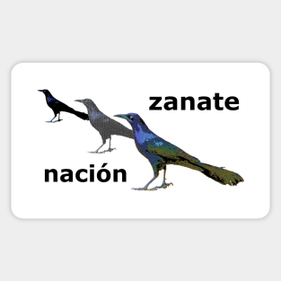 Zanate Nacion Sticker